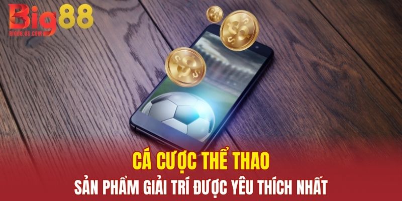Cá cược thể thao - Sản phẩm cá cược được yêu thích nhất tại nhà cái BIG88