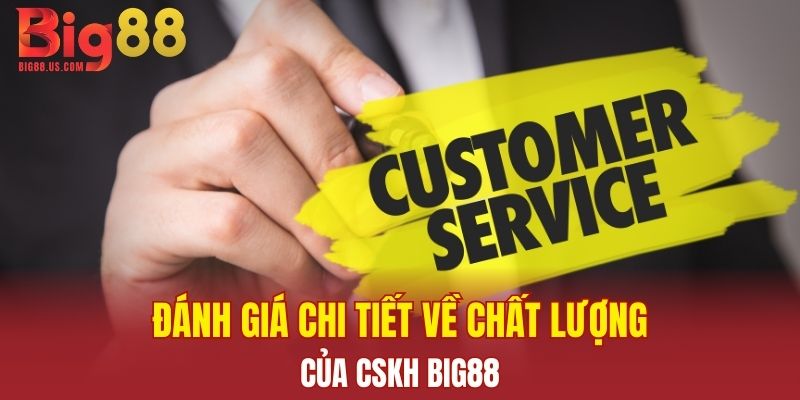 Đánh giá chi tiết về chất lượng của CSKH Big88