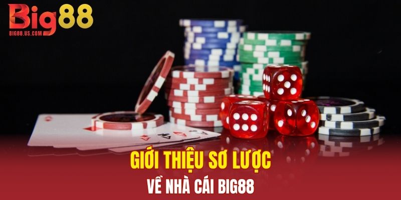 Giới thiệu sơ lược về nhà cái BIG88