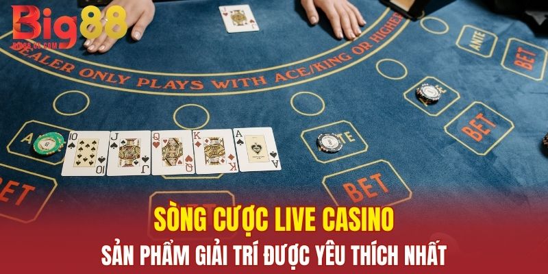 Sòng cá cược Live Casino - Sản phẩm cá cược được yêu thích nhất tại nhà cái BIG88