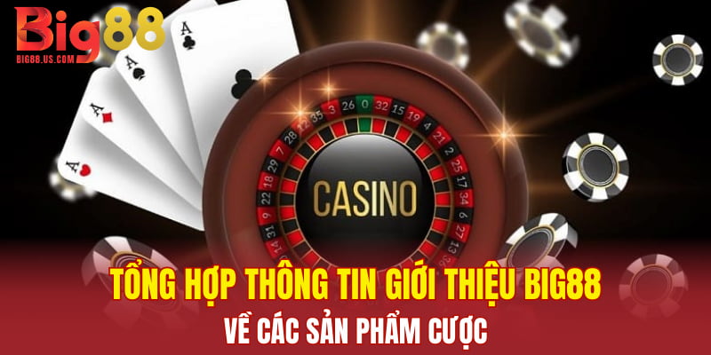 Tổng hợp thông tin giới thiệu Big88 về các sản phẩm cược