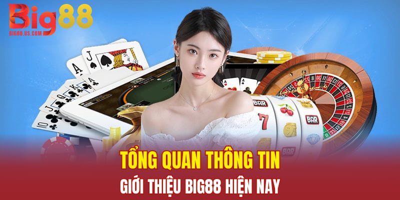 Tổng quan thông tin giới thiệu Big88 hiện nay